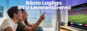 basta-lagliga-iptv-leverantorerna